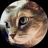 richviolet11